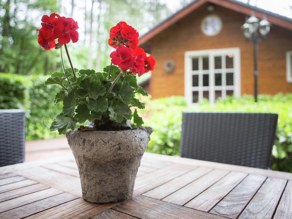Luxurious Chalet In Oud Turnhout With Large Garden Villa Oud-Turnhout Esterno foto