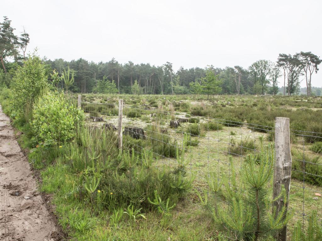 Luxurious Chalet In Oud Turnhout With Large Garden Villa Oud-Turnhout Esterno foto